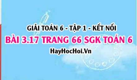 Giải bài 3.17 trang 66 Toán 6 Tập 1 SGK Kết nối tri thức